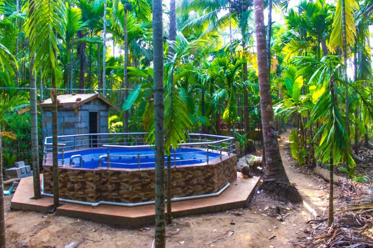 Maitreya Beach Resort Diveagar Exterior photo